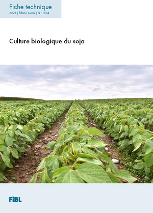 Culture biologique du soja