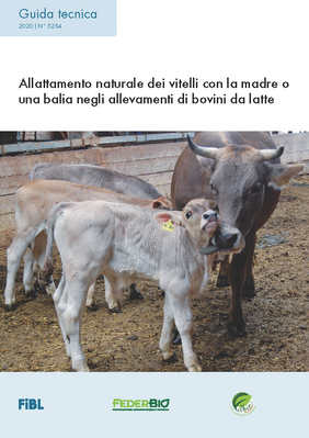 Cover: Allattamento naturale dei vitelli con la madre o una balia negli allevamenti di bovini da latte
