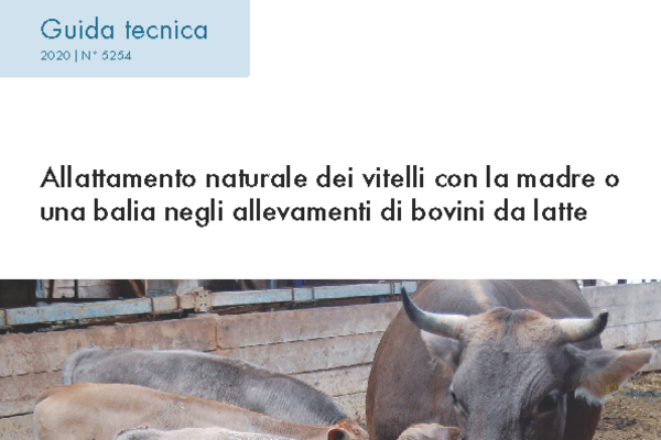 Cover: Allattamento naturale dei vitelli con la madre o una balia negli allevamenti di bovini da latte