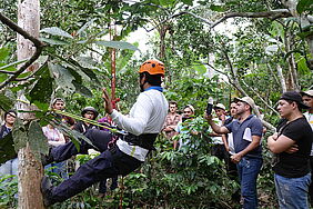 Menschen schauen einem Mann zu, wie er mit Kletterausrüstung einen Baumstamm erklimmt.