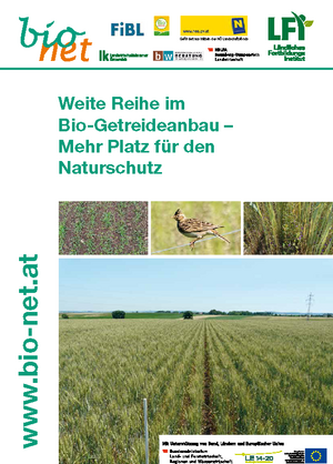 Weite Reihe im Bio-Getreideanbau
