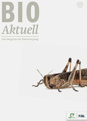 Cover des neuen Bioaktuell. Abgebildet ist eine Heuschrecke auf weissem Hintergrund.