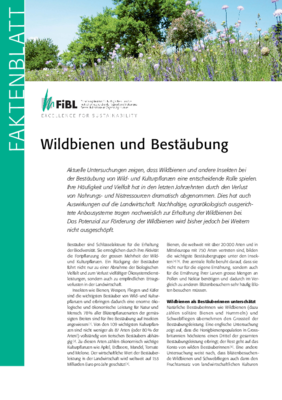 Cover Faktenblatt Wildbienen und Bestäubung