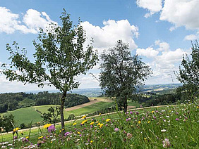 (c)FiBL, Reinhard Gessl Landschaft mit Blumenwiese und Bäumen.