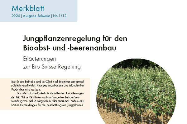 Jungpflanzenregelung für den Bioobst- und -beerenanbau