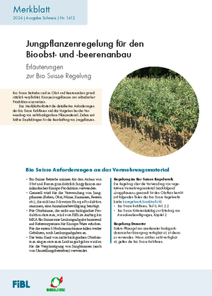 Jungpflanzenregelung im Bioobst- und -beerenanbau