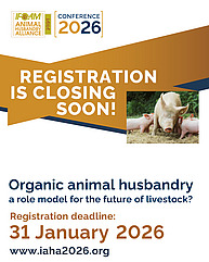 Flyer for the IAHA conference "registration closing on 31 January". Orange and blue stripes and a picture of a pig.