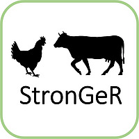 Logo StronGer.