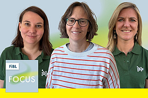 Drei Frauen.