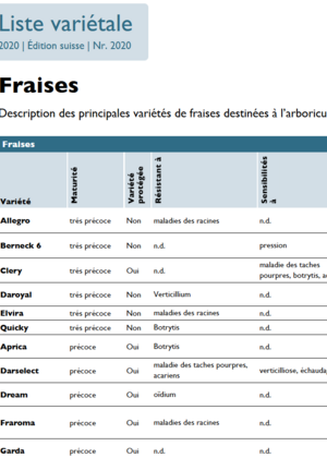 Liste variétale fraises bio