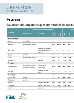 Liste variétale fraises bio