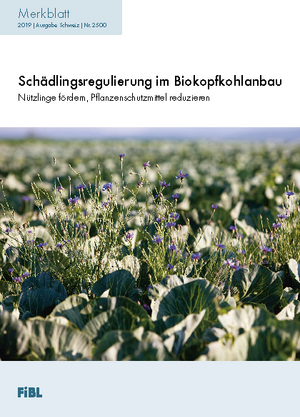Schädlingsregulierung im Biokopfkohlanbau