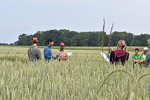 Im Vordergrund der grüne Mahlweizen, im Hintergrund einige diskutierende Personen die aus dem Feld hervorragen