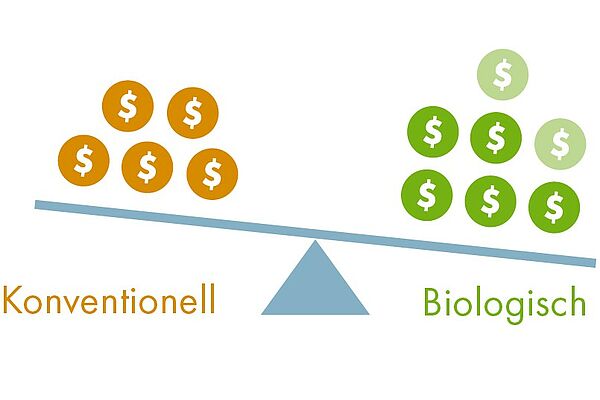 Eine Waage hat mehr Dollarzeichen rechts für Biologisch, als links für konventionellen Anbau.