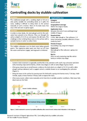 Controlling docks by stubble cultivation