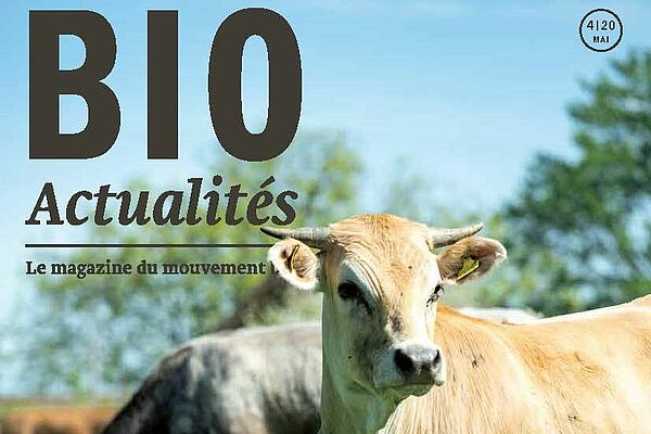 Cover Bioactualités 4/20
