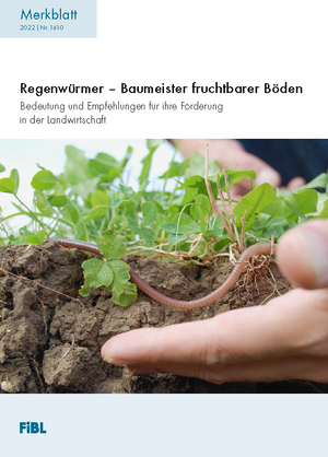 Regenwürmer – Baumeister fruchtbarer Böden