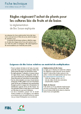 Cover: Règles régissant l’achat de plants pour les cultures bio de fruits et de baies