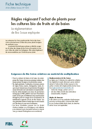 Règles régissant l’achat de plants pour les cultures bio de fruits et de baies