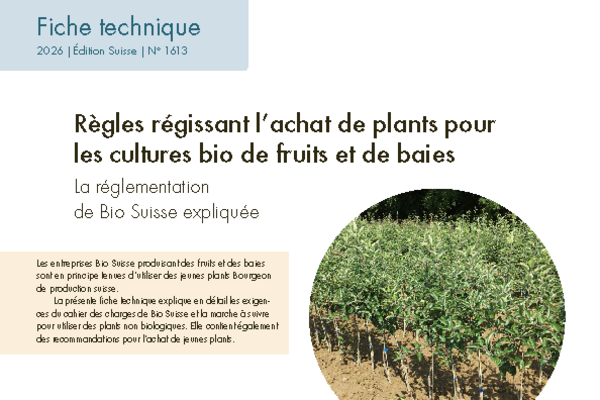 Cover: Règles régissant l’achat de plants pour les cultures bio de fruits et de baies