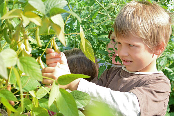 Kinder beim Erkunden biologischer Vielfalt