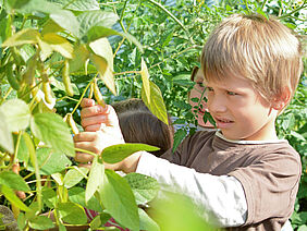 Kinder beim Erkunden biologischer Vielfalt