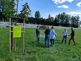 Menschen auf einer Wiese