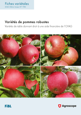 Cover: Variétés de pommes robustes