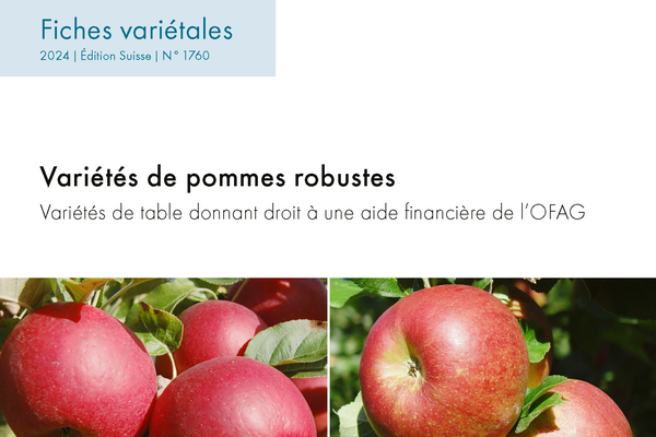 Cover: Variétés de pommes robustes