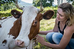 Eine Kuh mit Hörner wird von einer Frau gestreichelt