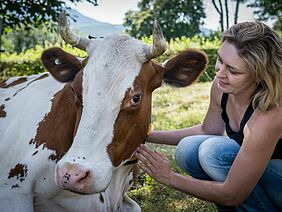 Eine Kuh mit Hörner wird von einer Frau gestreichelt