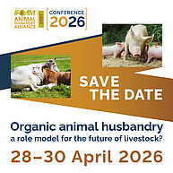 Ein Flyer zeigt zwei orangene Streifen mit der Aufschrift "save the date", ein Bild von zwei kuschelnden Kühen und ein Bild von einer säugenden Sau. Das Logo oben links sagt "IFOAM Animal Husbandry Alliance" und unten steht "Organic animal husbandry: a role model for the future of livestock?" und 28-30 April 2026.