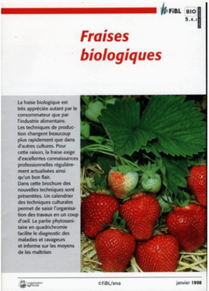 Fraises biologiques