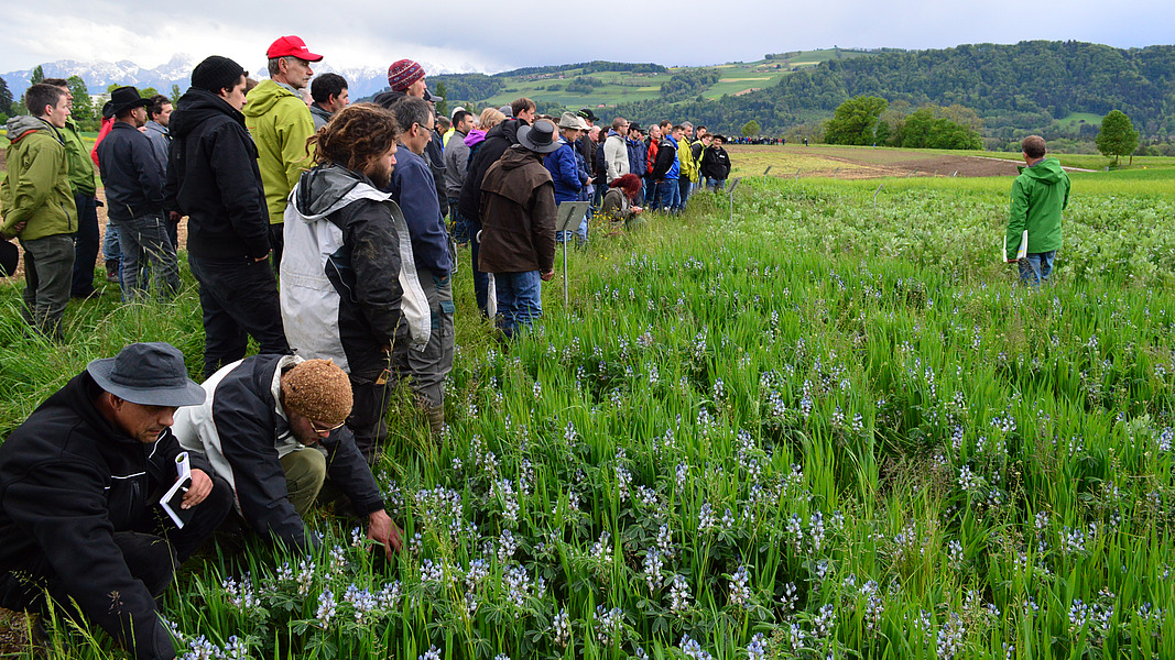 Menschen im Feld.