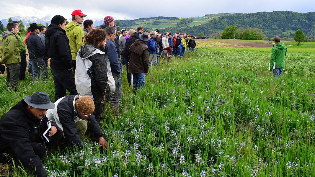 "Bioackerbautag" (Arable Crops Conference)