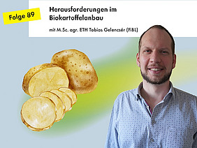 Portrait von Tobias Gelencsér, daneben eine Illustration von Kartoffeln.
