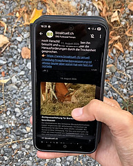 Handy in der Hand.