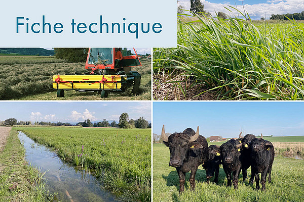 Photos de couverture Paluidculture.