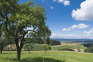 Landschaftsbild