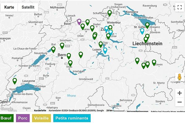 Carte Google Maps de la Suisse.