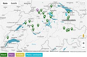 Carte Google Maps de la Suisse.