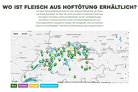 Screenshot von hoftoetung-schweiz.ch mit Karte.