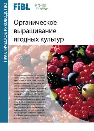 Органическое выращивание ягодных культур