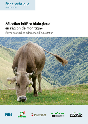 Sélection laitière biologique en région de montagne.