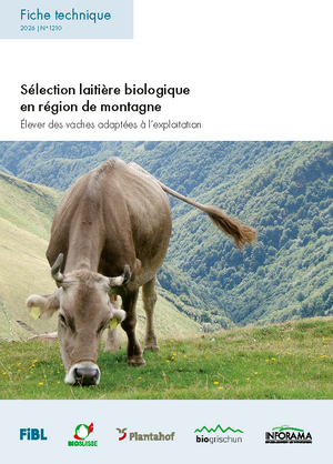 Sélection laitière biologique en région de montagne