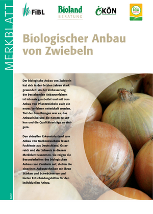 Biologischer Anbau von Zwiebeln