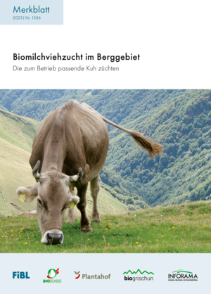 Biomilchviehzucht im Berggebiet