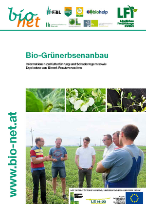 Bio-Grünerbsenanbau