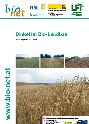 Dinkel im Bio-Landbau