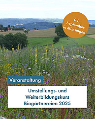 Verschiedene Blumen in einem Feld, mit hügeliger Landschaft im Hintergrund.